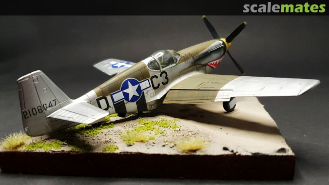 View album, image #1 View album, image #1