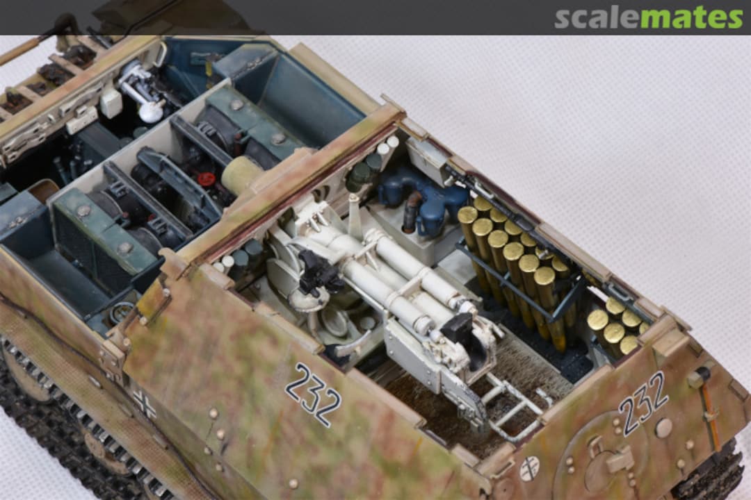 View album, image #14 View album, image #14