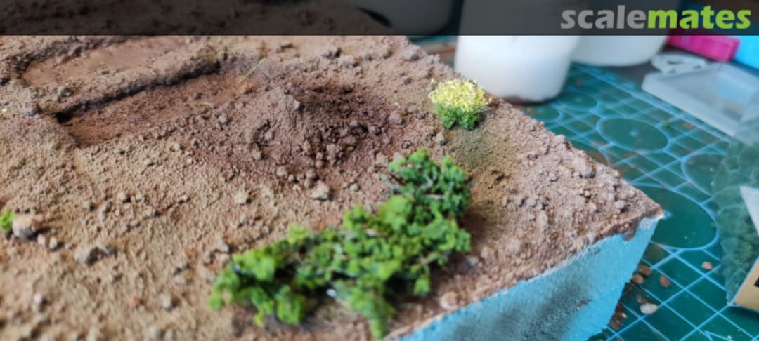 View album, image #1