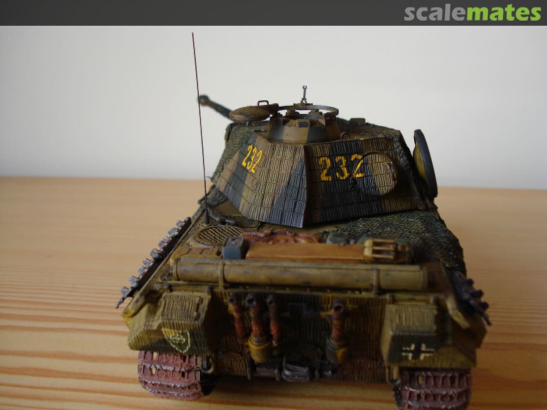 View album, image #1