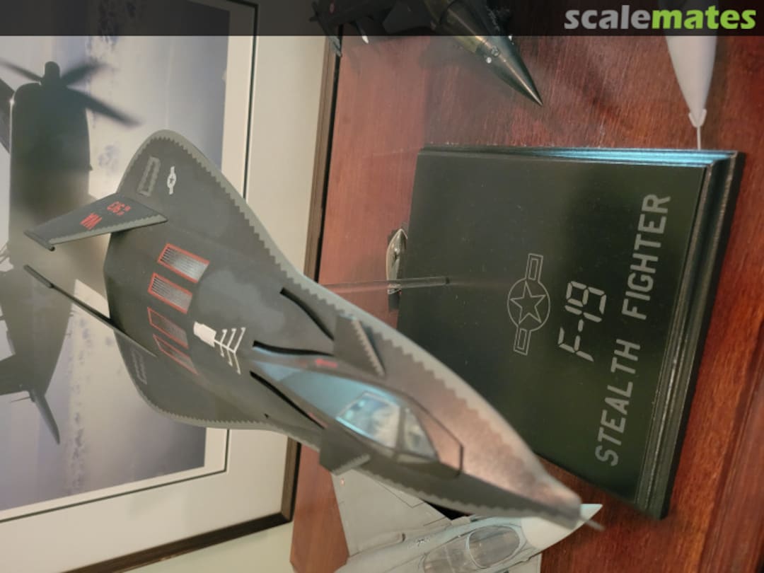 View album, image #5 View album, image #5