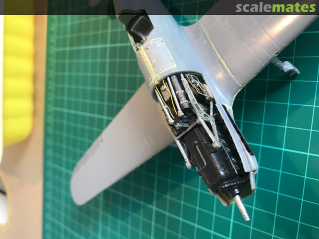 View album, image #1