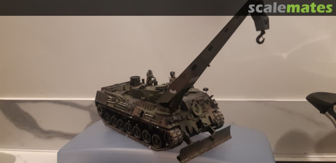 View album, image #1 View album, image #1