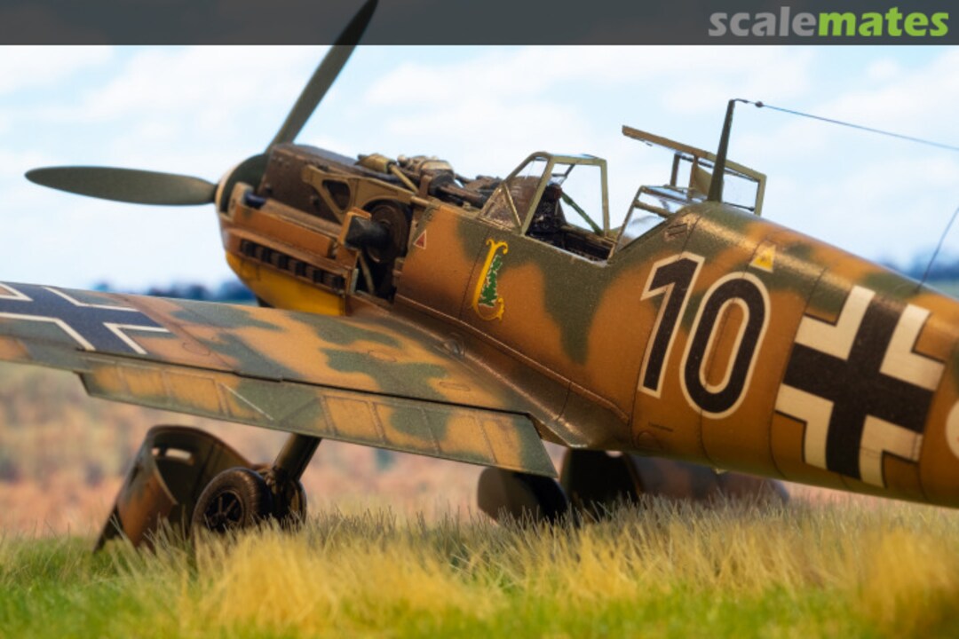 View album, image #7