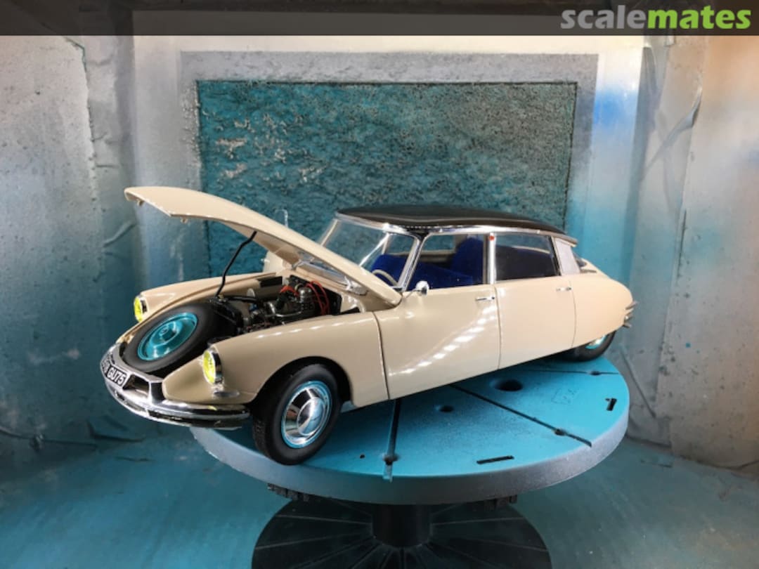 View album, image #1 View album, image #1