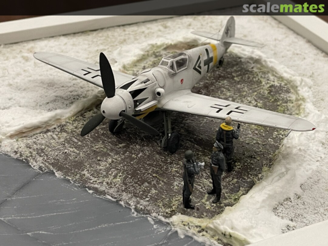 View album, image #1 View album, image #1