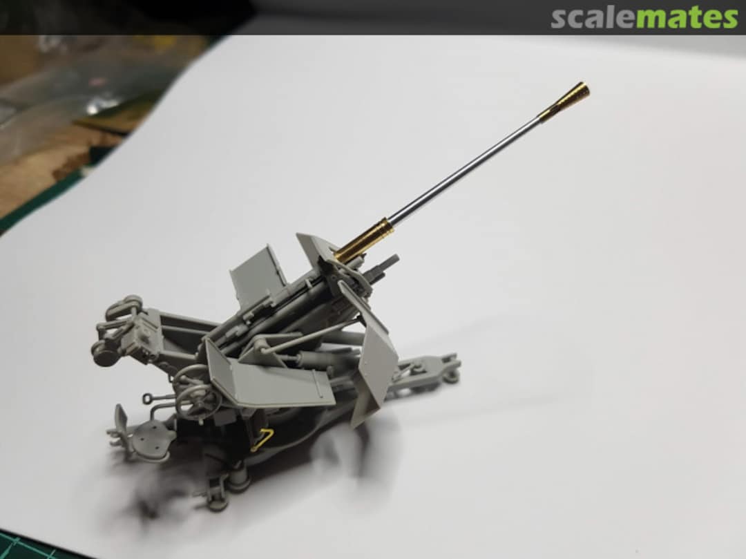 View album, image #5