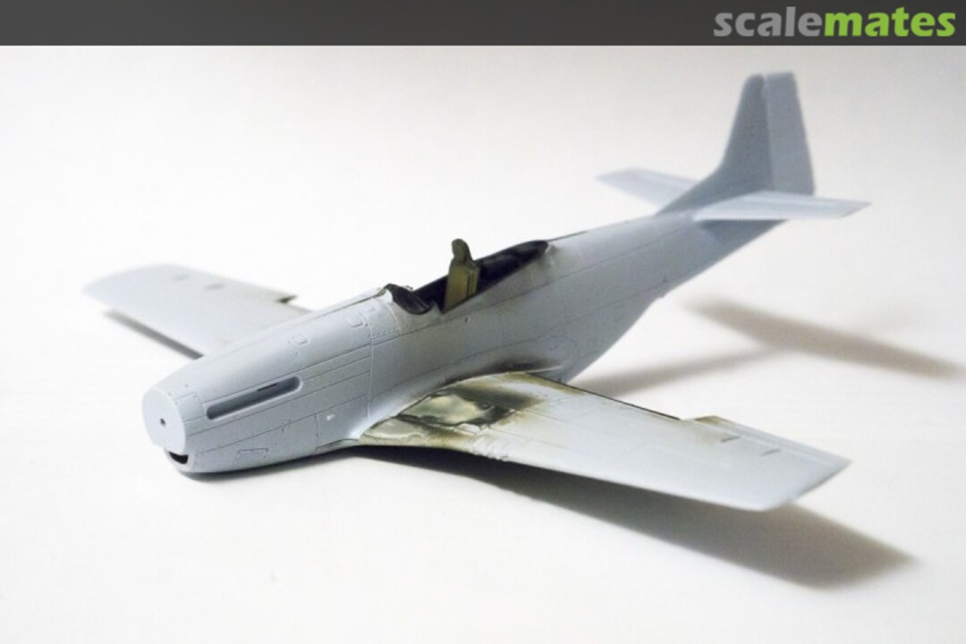 View album, image #1