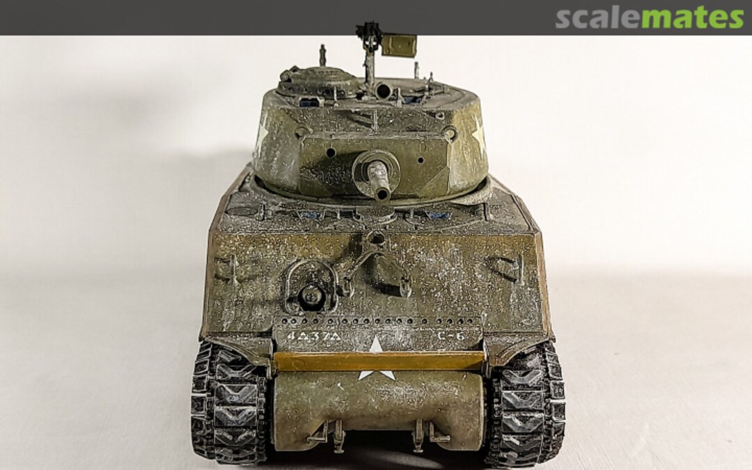 View album, image #1 View album, image #1