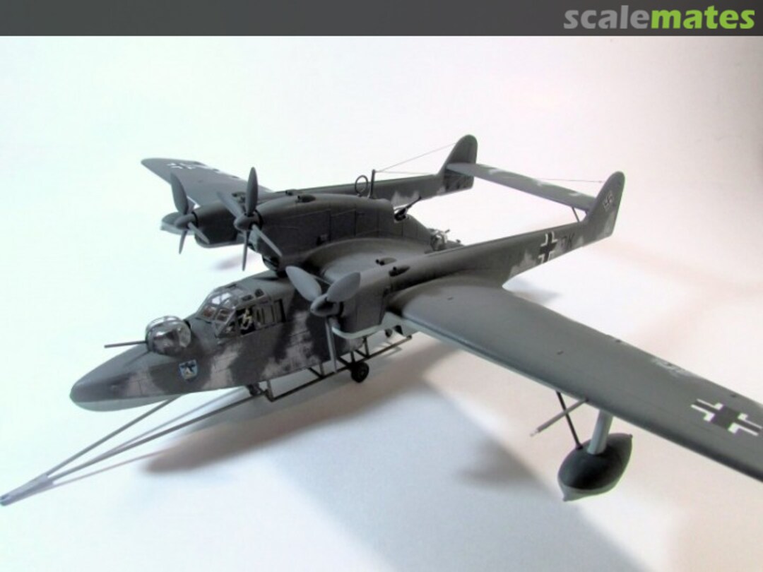 View album, image #1 View album, image #1