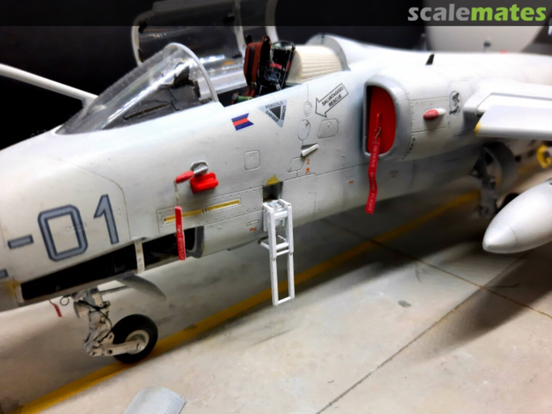 View album, image #5 View album, image #5