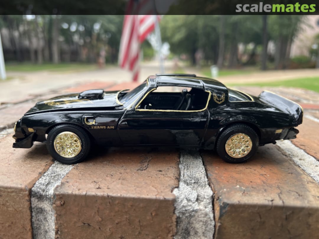 View album, image #1 View album, image #1