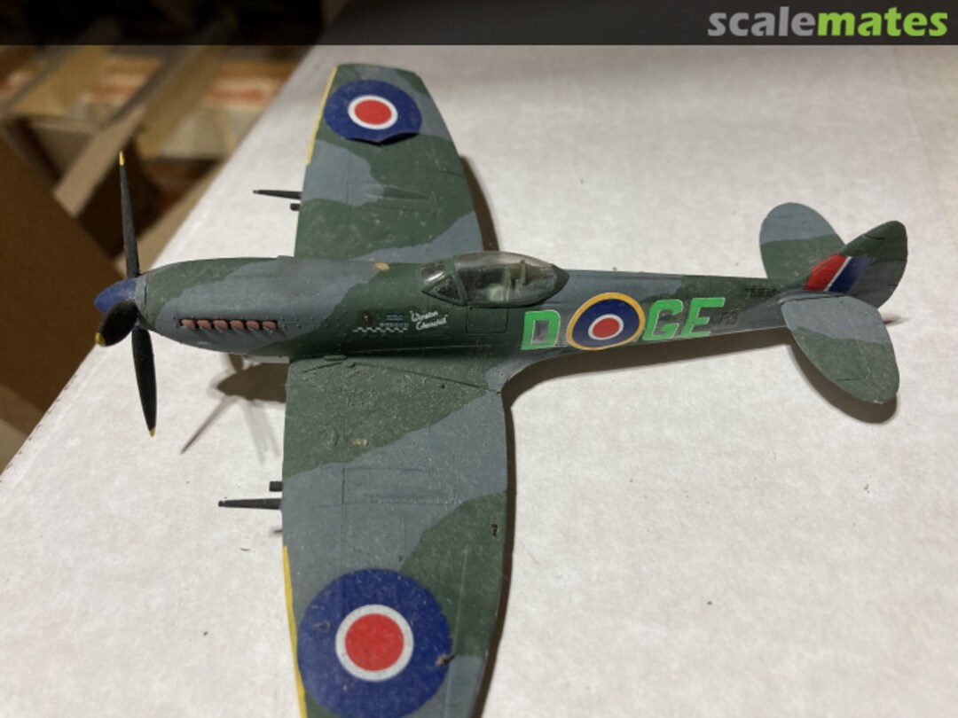 View album, image #1 View album, image #1