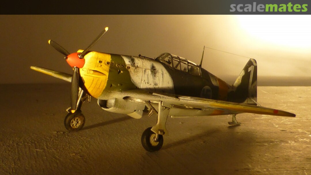 View album, image #1 View album, image #1