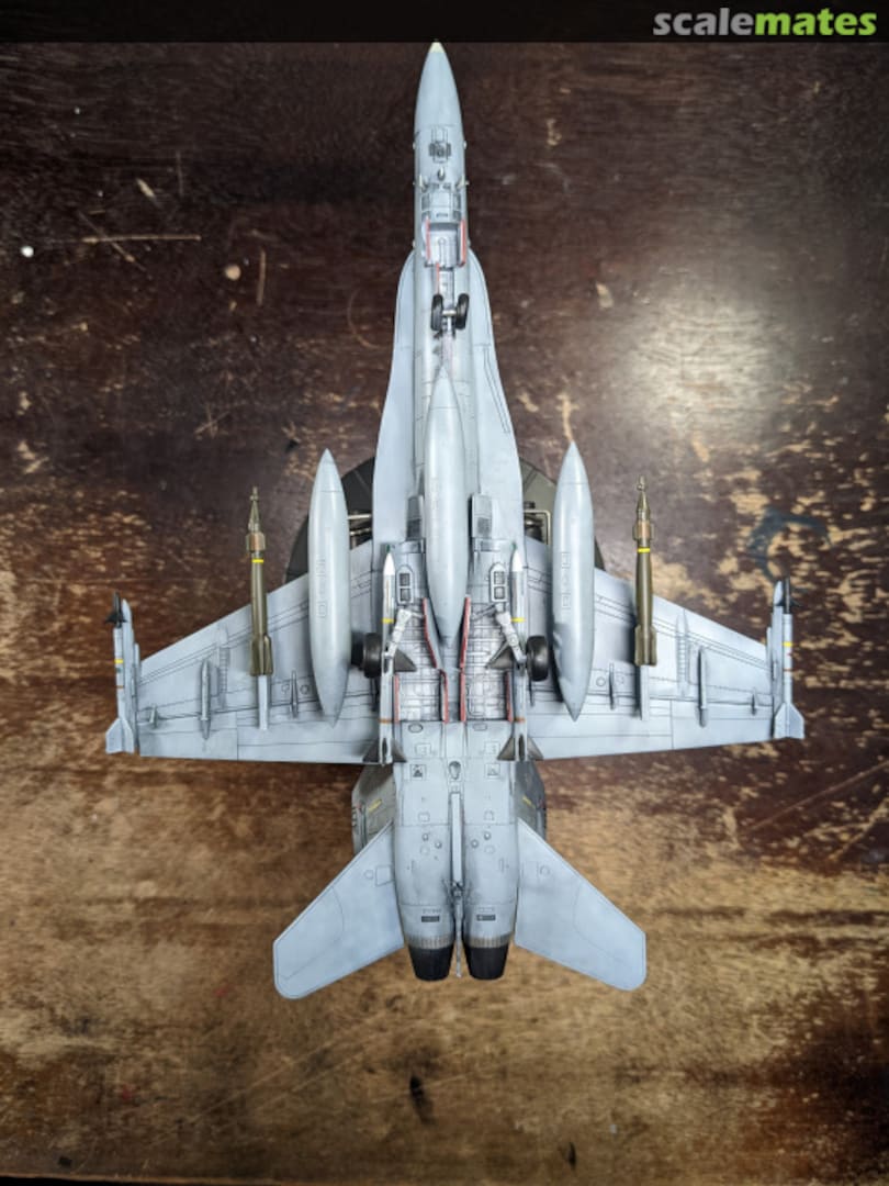 View album, image #4