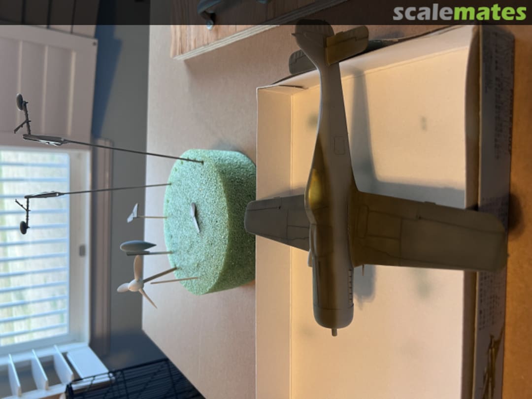 View album, image #1 View album, image #1