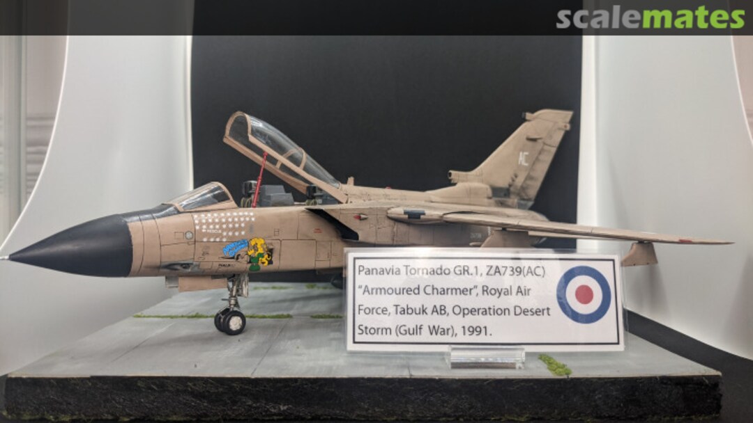 View album, image #1 View album, image #1