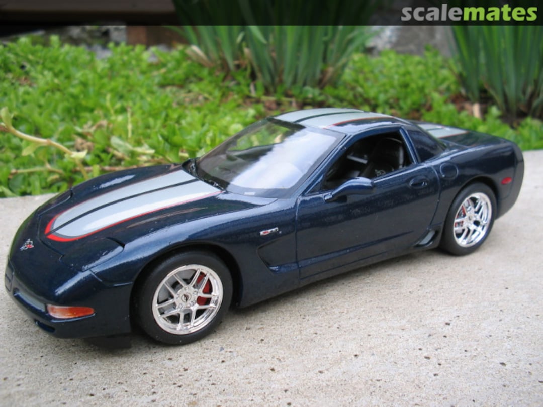 View album, image #1 View album, image #1