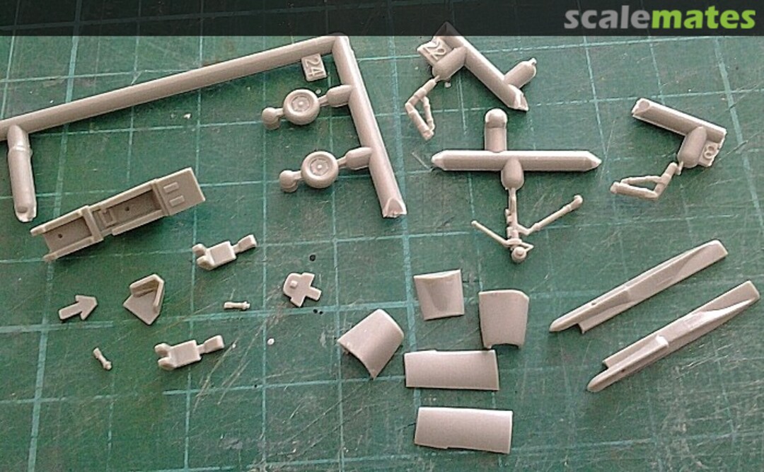 View album, image #1 View album, image #1