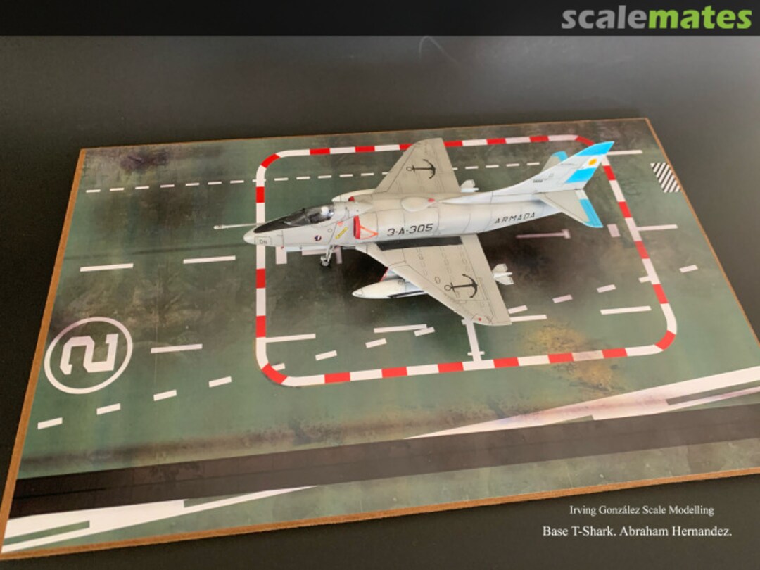 View album, image #6 View album, image #6