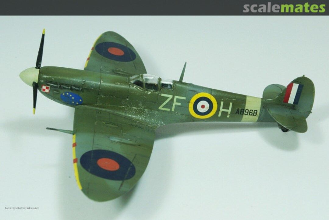 View album, image #1 View album, image #1