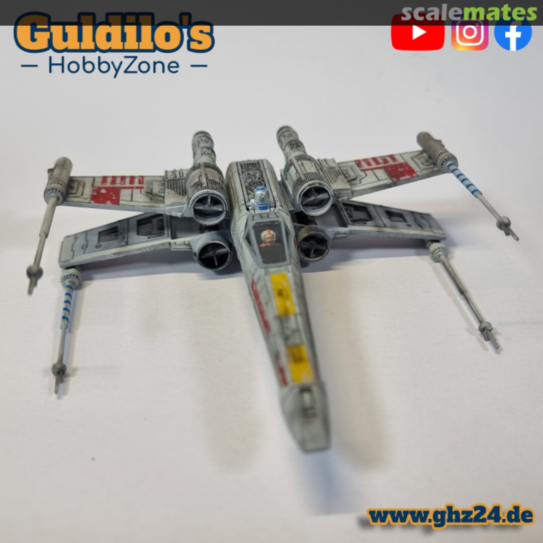 View album, image #1 View album, image #1