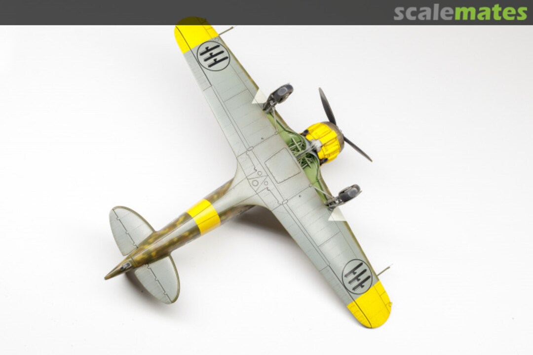 View album, image #1 View album, image #1