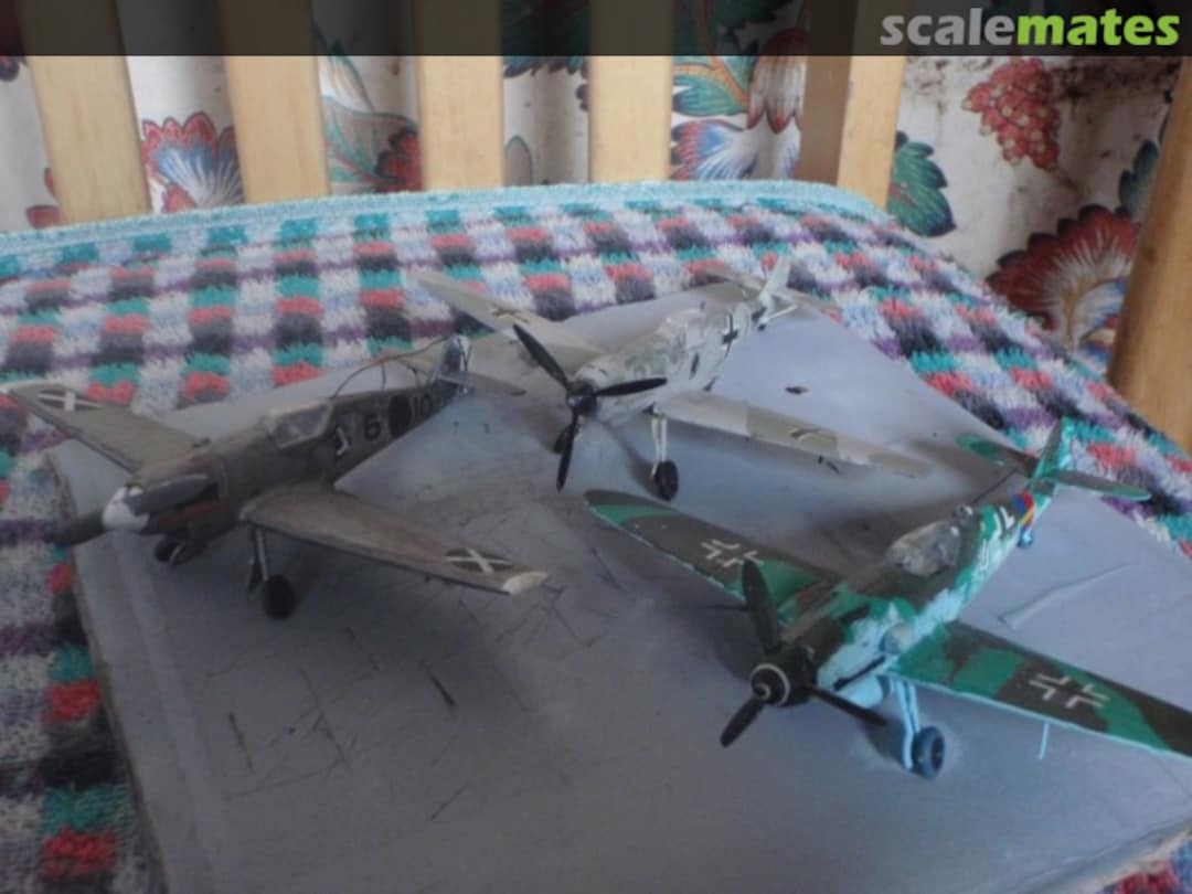 View album, image #1 View album, image #1