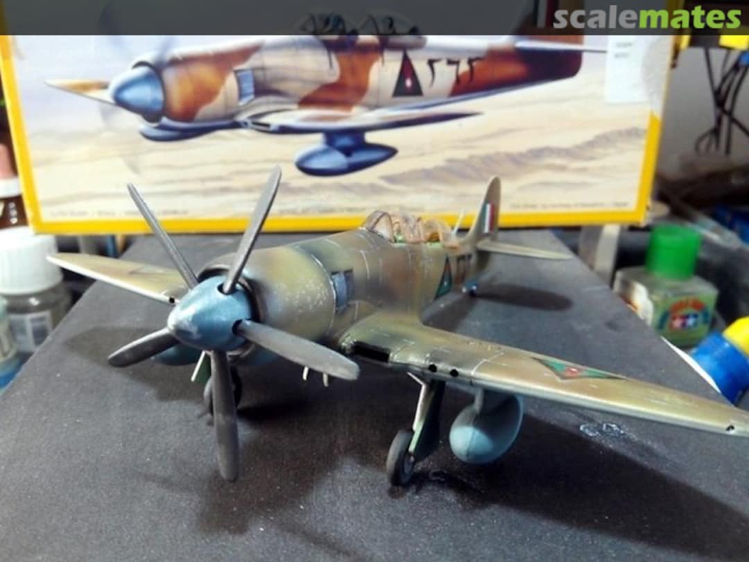 View album, image #1 View album, image #1