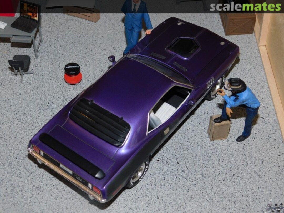 View album, image #1 View album, image #1