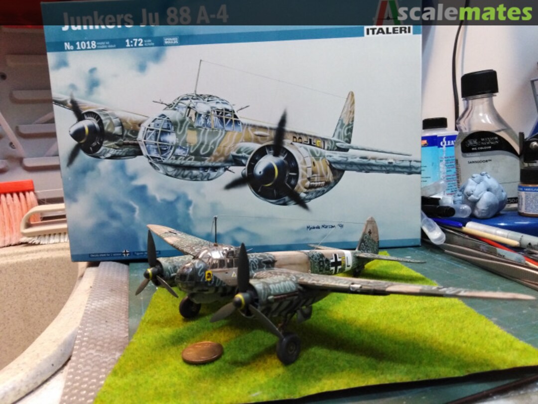 View album, image #5