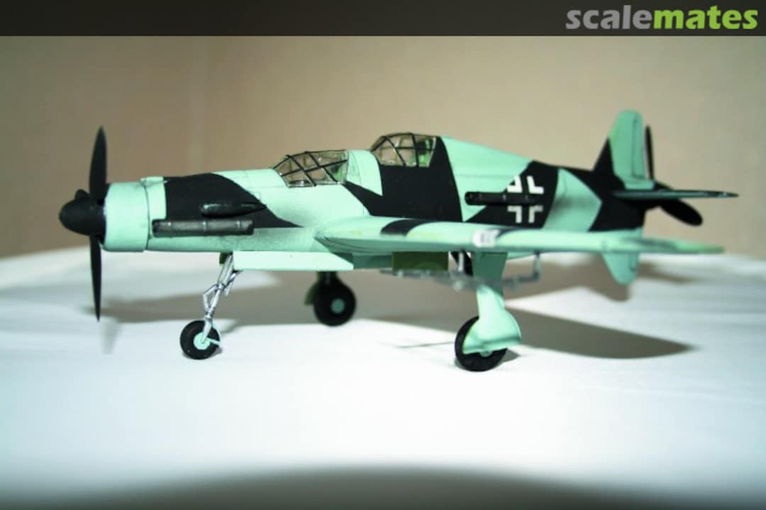 View album, image #1 View album, image #1