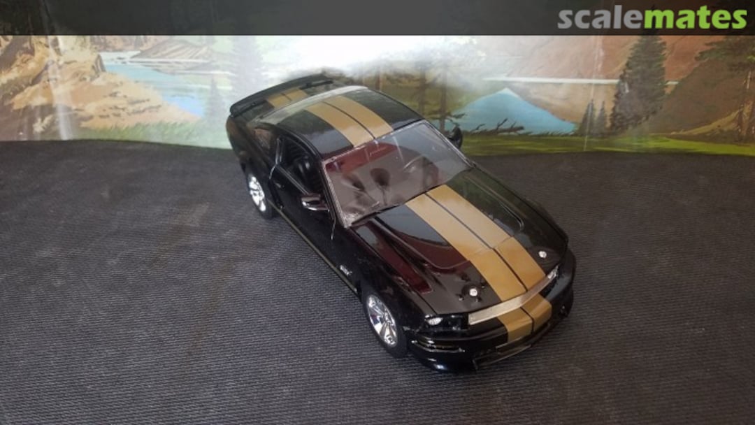 View album, image #4 View album, image #4