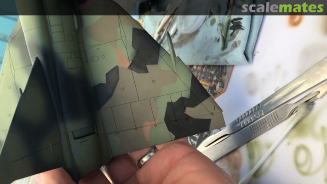 View album, image #1