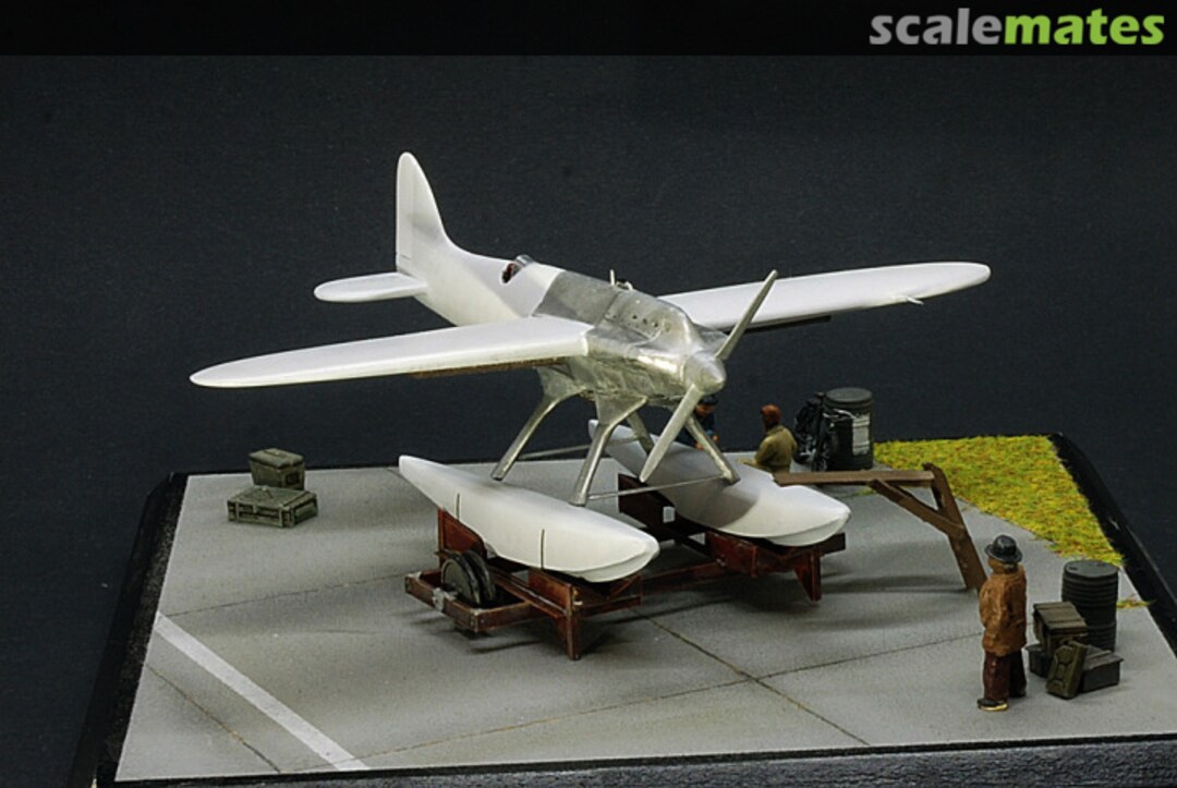 View album, image #1 View album, image #1