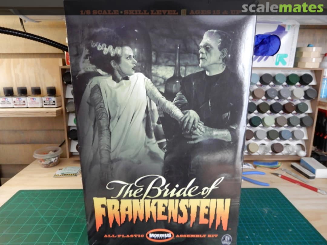 View album, image #1