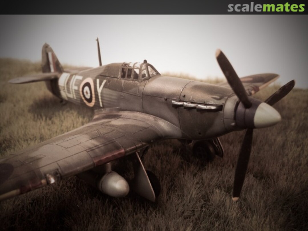 View album, image #33 View album, image #33