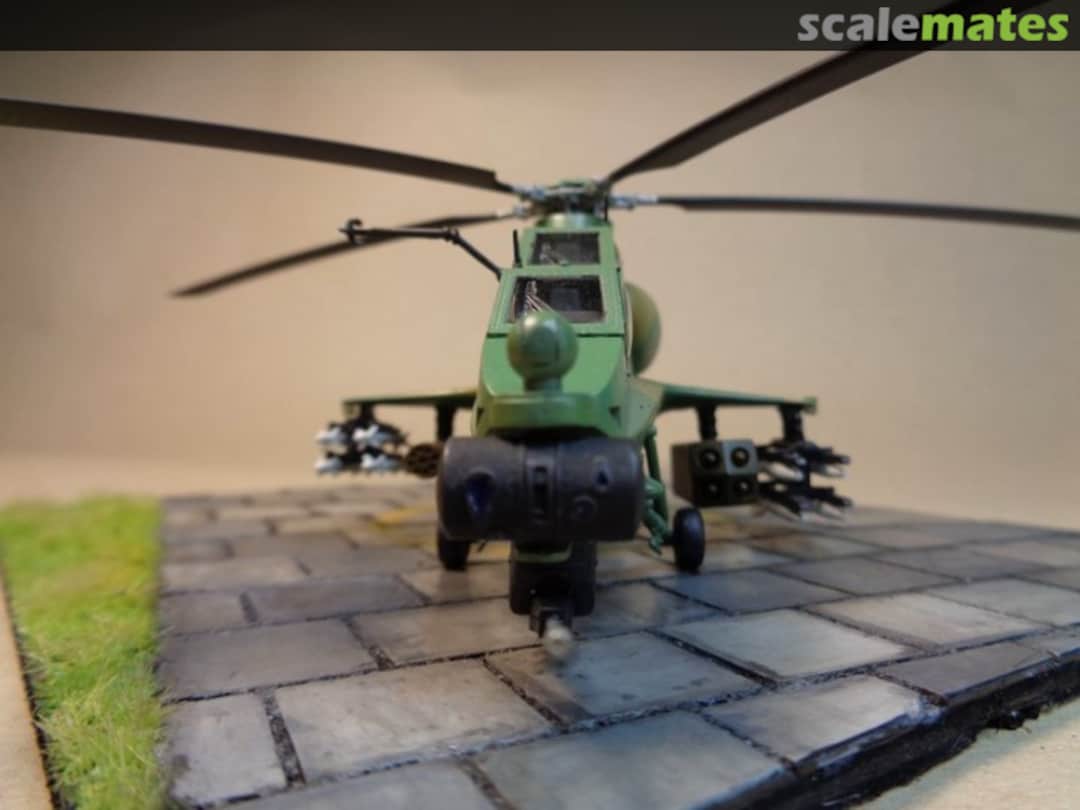 View album, image #1 View album, image #1