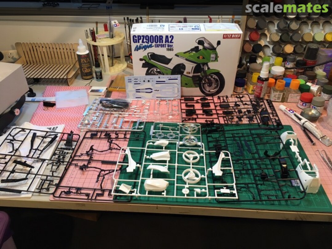 View album, image #1 View album, image #1