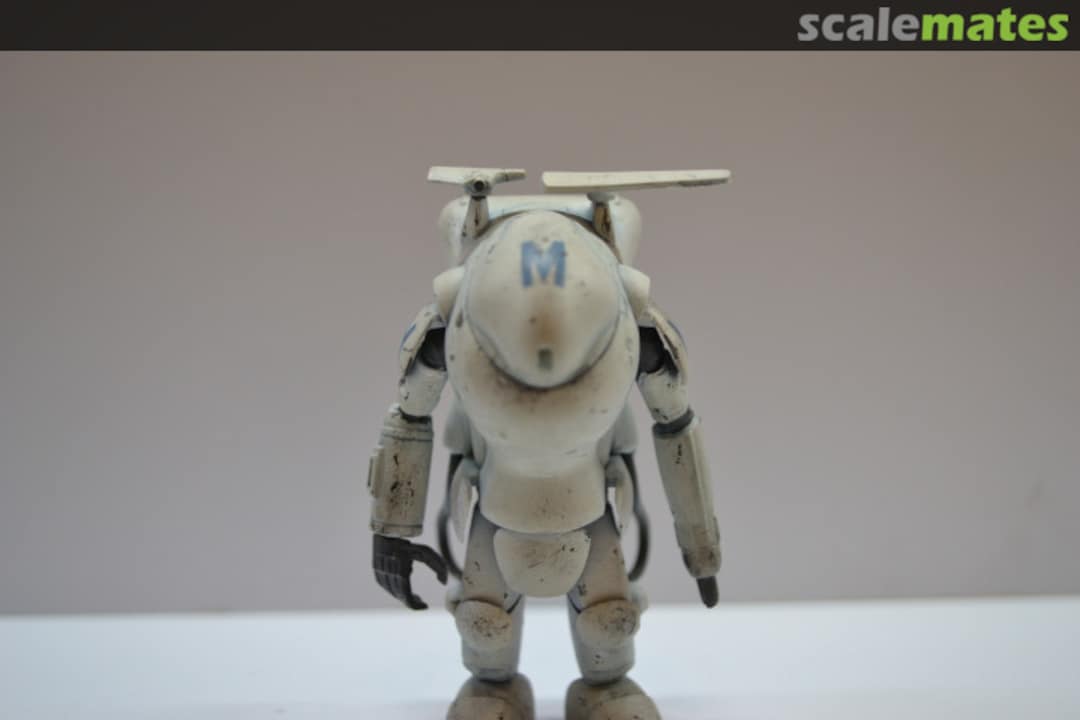 View album, image #3 View album, image #3