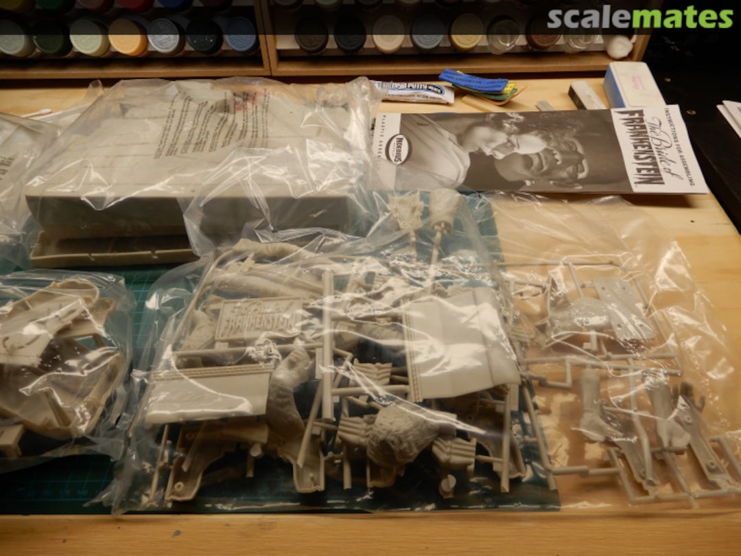 View album, image #1