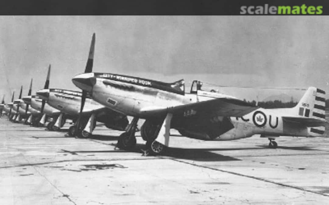 View album, image #8 View album, image #8