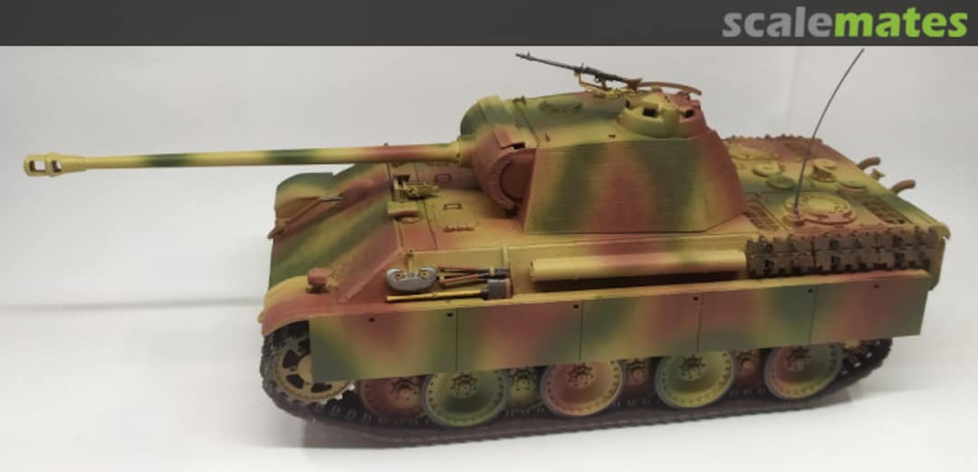 View album, image #1 View album, image #1