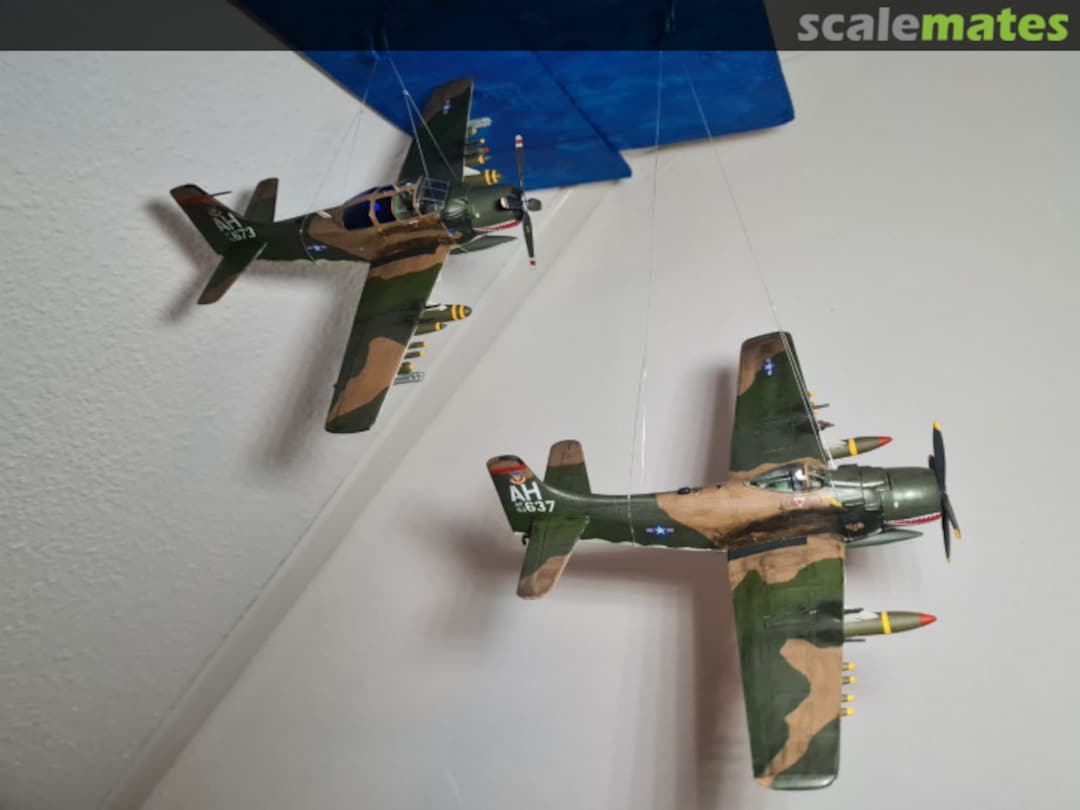 View album, image #49 View album, image #49