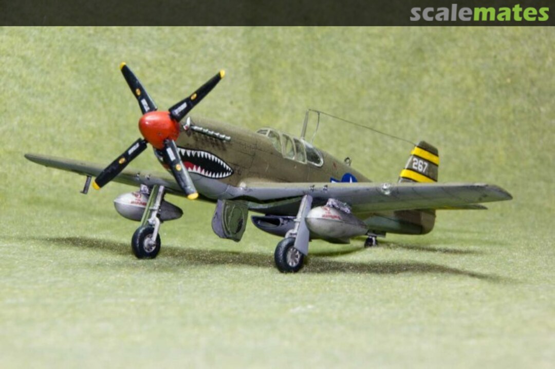 View album, image #1 View album, image #1