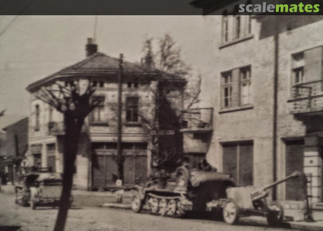 View album, image #1 View album, image #1