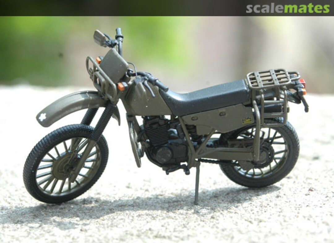 View album, image #9 View album, image #9