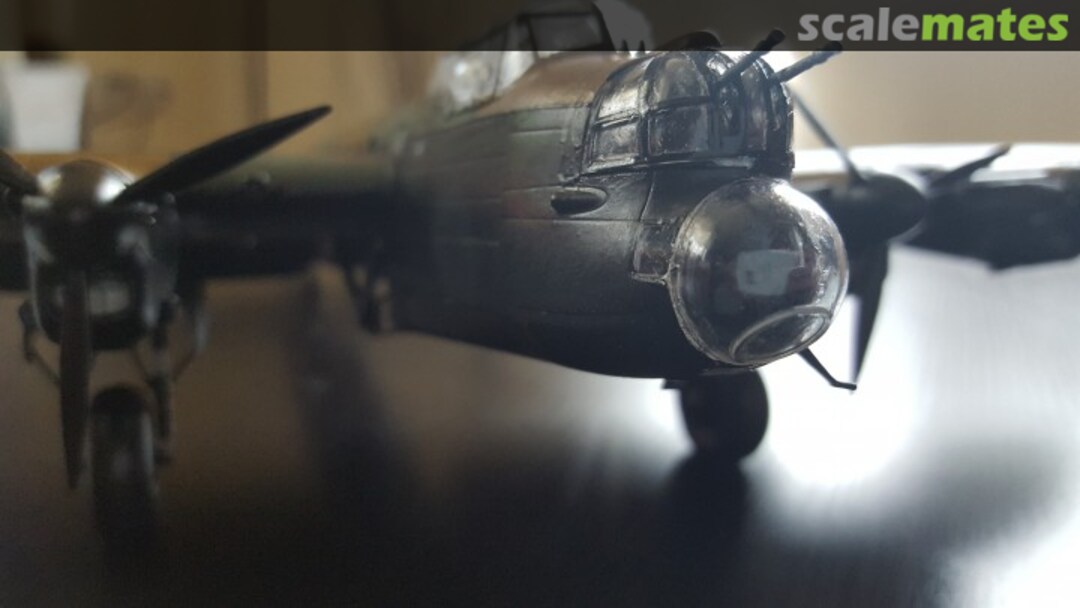 View album, image #22 View album, image #22