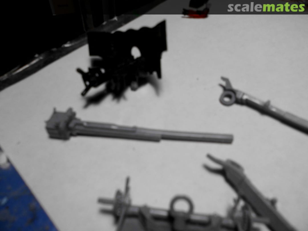 View album, image #1 View album, image #1