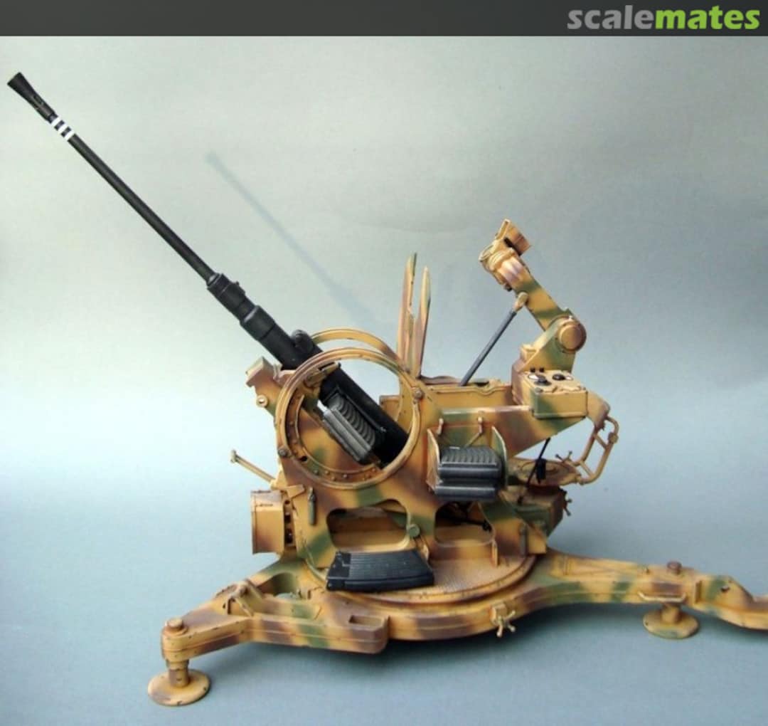 View album, image #1 View album, image #1